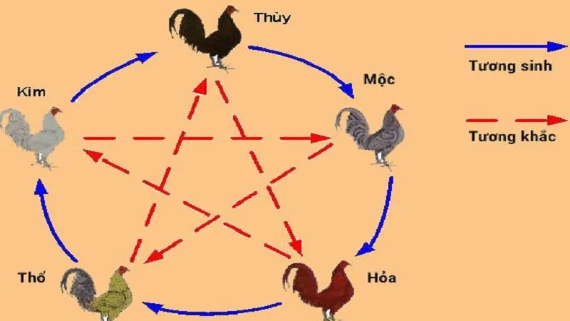 Màu Mạng Đá Gà - Hướng Dẫn Cách Xem Chi Tiết Theo Phong Thuỷ màu mạng đá gà